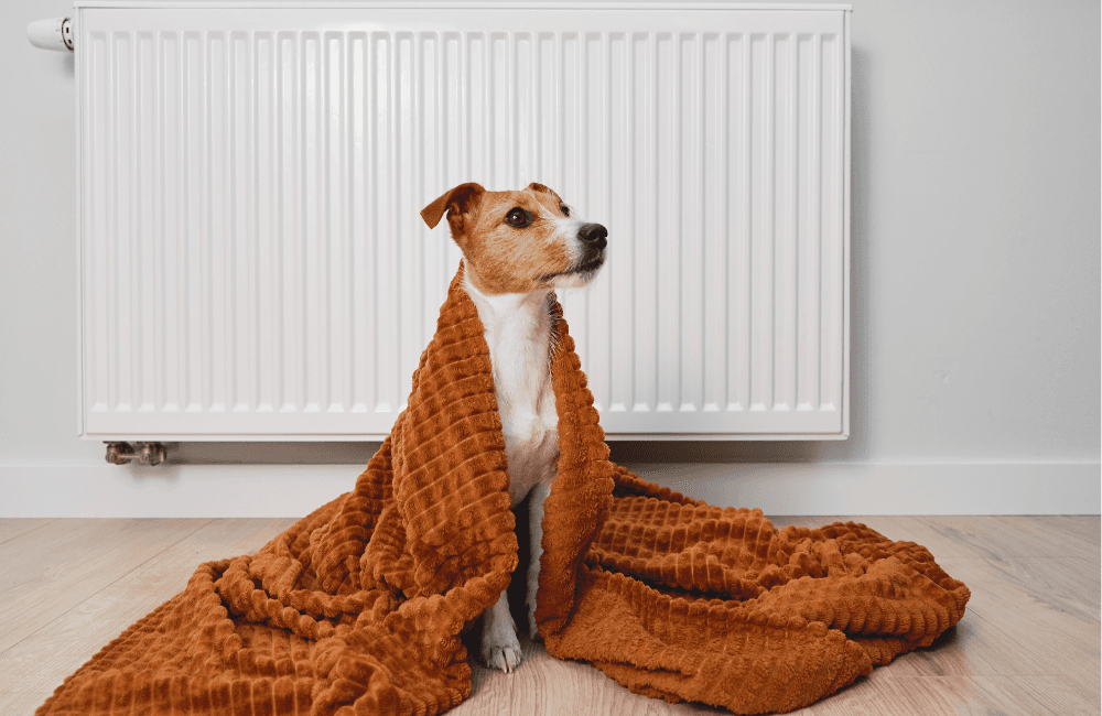 Cover image for Signs Your Heating System Needs a Professional Check